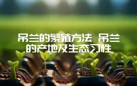 吊兰的繁殖方法 吊兰的产地及生态习性-会东网
