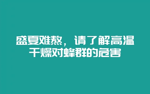 盛夏难熬，请了解高温干燥对蜂群的危害-会东网