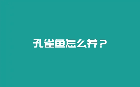 孔雀鱼怎么养？-会东网
