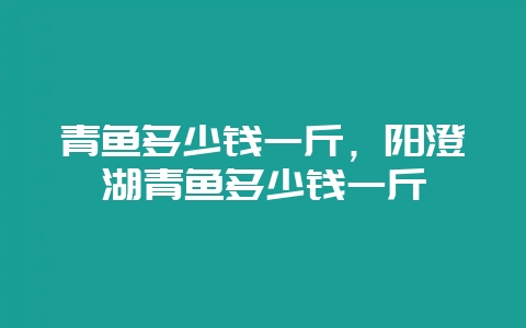 青鱼多少钱一斤，阳澄湖青鱼多少钱一斤-会东网