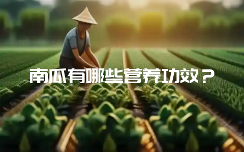 南瓜有哪些营养功效？-会东网