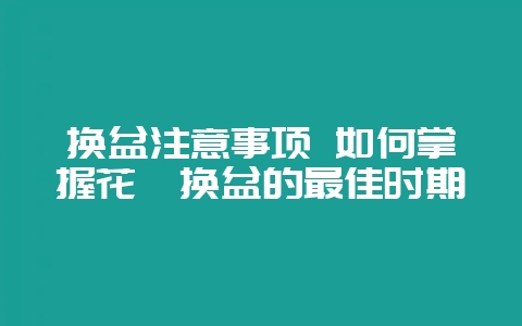 换盆注意事项 如何掌握花卉换盆的最佳时期-会东网