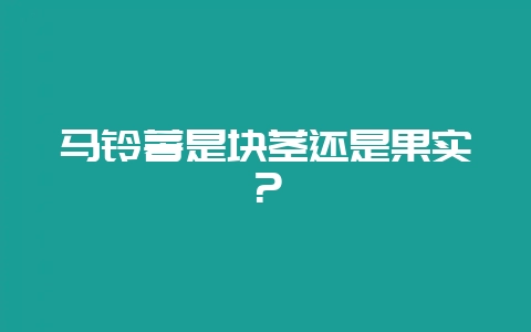 马铃薯是块茎还是果实？-会东网