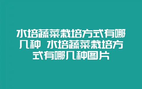 水培蔬菜栽培方式有哪几种 水培蔬菜栽培方式有哪几种图片-会东网