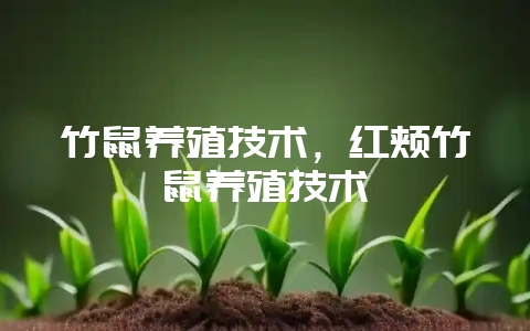 竹鼠养殖技术，红颊竹鼠养殖技术-会东网