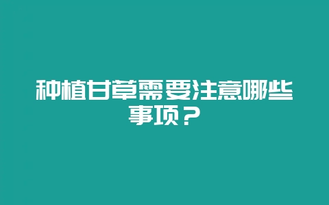 种植甘草需要注意哪些事项？-会东网