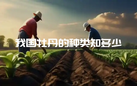 我国牡丹的种类知多少-会东网