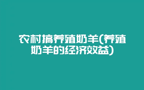 农村搞养殖奶羊(养殖奶羊的经济效益)-会东网