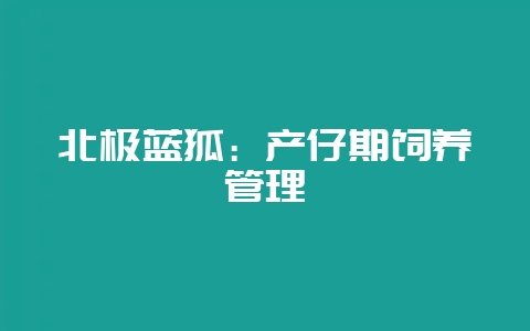 北极蓝狐:产仔期饲养管理-会东网