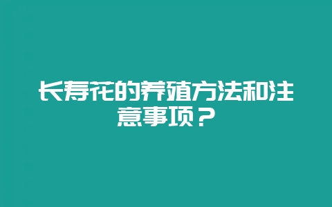 长寿花的养殖方法和注意事项？-会东网