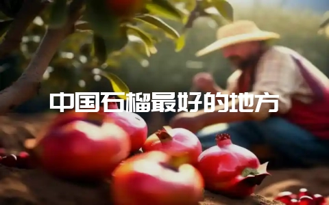 中国石榴最好的地方插图 中国石榴最好的地方插图