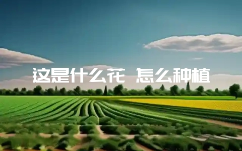 这是什么花 怎么种植-会东网