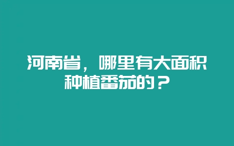 河南省,哪里有大面积种植番茄的?-会东网