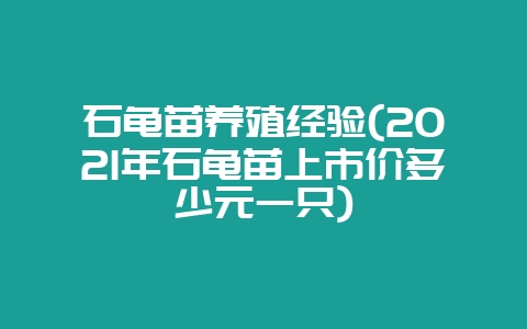 石龟苗养殖经验(2021年石龟苗上市价多少元一只)-会东网