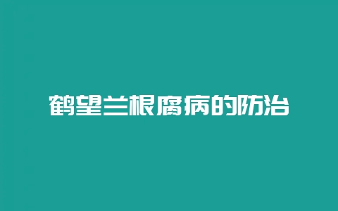 鹤望兰根腐病的防治-会东网