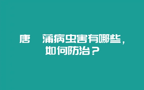 唐菖蒲病虫害有哪些，如何防治？-会东网