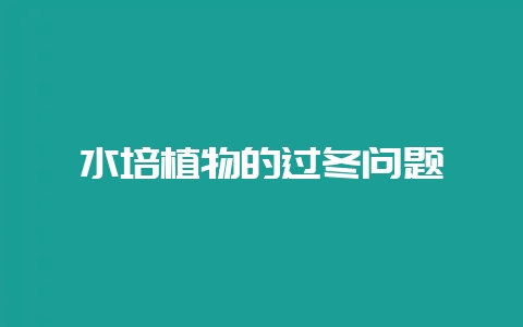 水培植物的过冬问题-会东网
