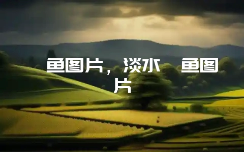 鲈鱼图片，淡水鲈鱼图片-会东网