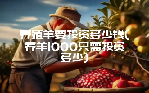 养殖羊要投资多少钱(养羊1000只需投资多少)-会东网