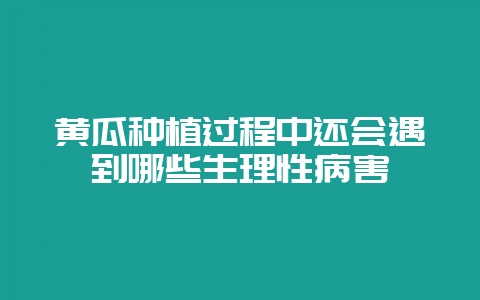 黄瓜种植过程中还会遇到哪些生理性病害-会东网