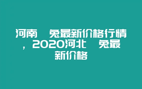 河南獭兔最新价格行情,2020河北獭兔最新价格-会东网