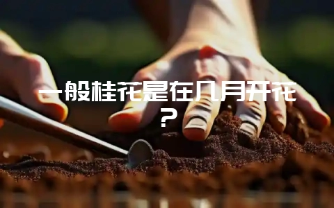 一般桂花是在几月开花?-会东网
