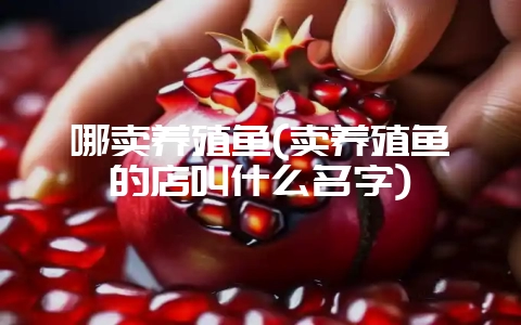哪卖养殖鱼(卖养殖鱼的店叫什么名字)-会东网
