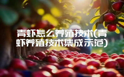 青虾怎么养殖技术(青虾养殖技术集成示范)-会东网