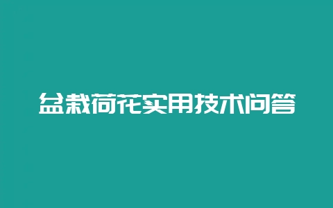盆栽荷花实用技术问答-会东网