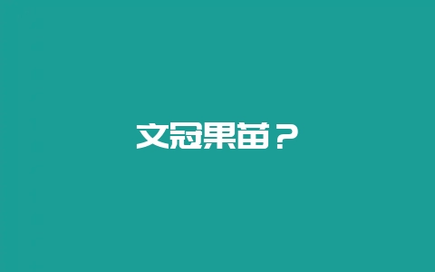 文冠果苗？-会东网