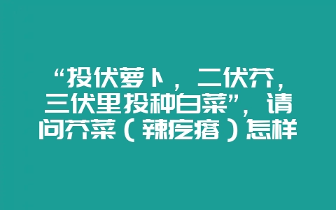 “头伏萝卜,二伏芥,三伏里头种白菜”,请问芥菜(辣疙瘩)怎样种植与管理才能高产?-会东网