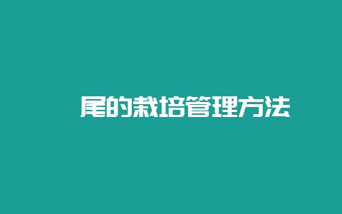 鸢尾的栽培管理方法-会东网