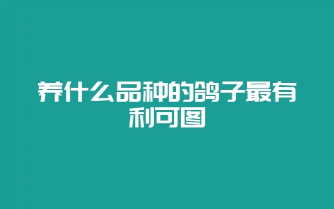 养什么品种的鸽子最有利可图-会东网