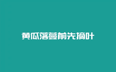 黄瓜落蔓前先摘叶-会东网
