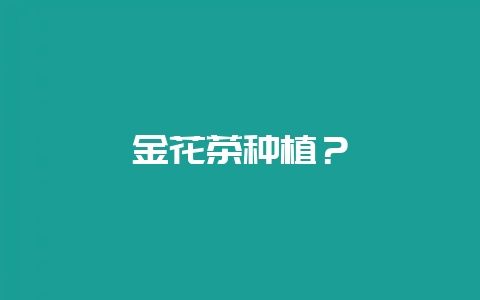 金花茶种植？-会东网