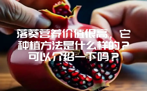 落葵营养价值很高,它种植方法是什么样的?可以介绍一下吗?-会东网