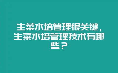 生菜水培管理很关键，生菜水培管理技术有哪些？-会东网