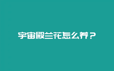 宇宙殿兰花怎么养？-会东网
