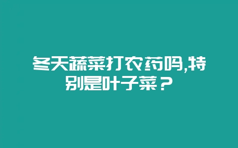 冬天蔬菜打农药吗,特别是叶子菜？-会东网