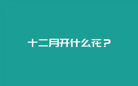 十二月开什么花？-会东网