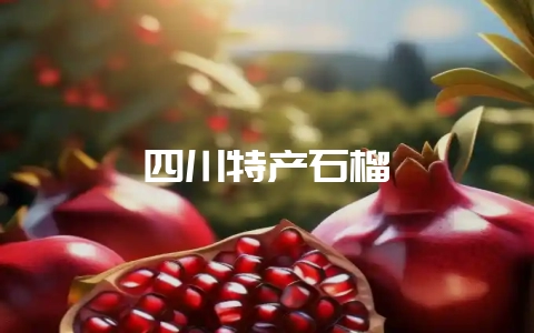 四川特产石榴插图 四川特产石榴插图