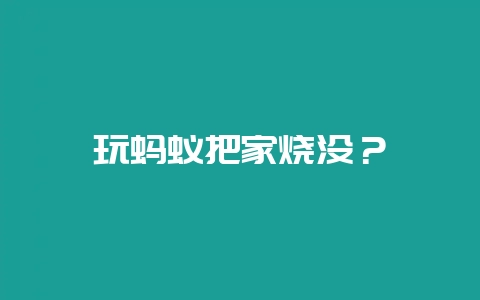 玩蚂蚁把家烧没？-会东网