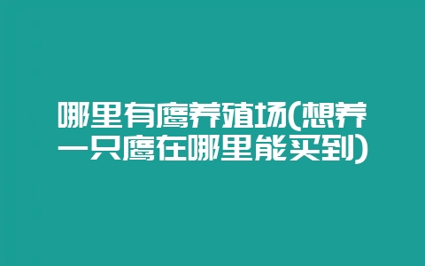 哪里有鹰养殖场(想养一只鹰在哪里能买到)-会东网