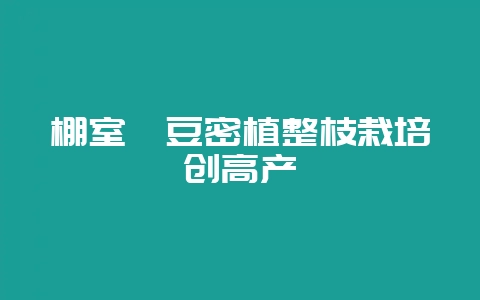棚室豇豆密植整枝栽培创高产-会东网