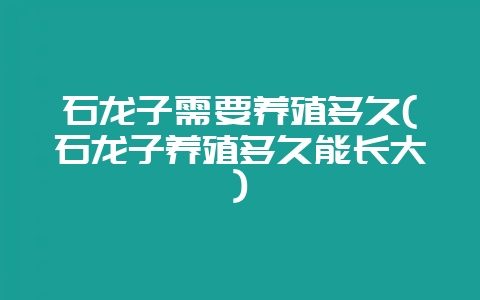 石龙子需要养殖多久(石龙子养殖多久能长大)-会东网