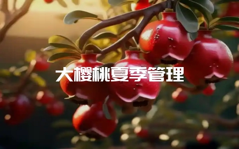 大樱桃夏季管理-会东网