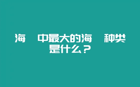 海豚中最大的海豚种类是什么?-会东网