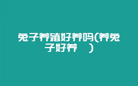 兔子养殖好养吗(养兔子好养嘛)-会东网