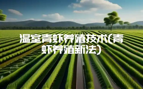温室青虾养殖技术(青虾养殖新法)-会东网