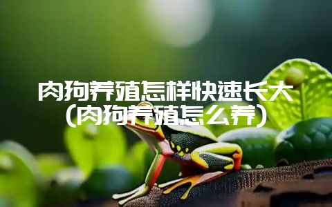 肉狗养殖怎样快速长大(肉狗养殖怎么养)-会东网